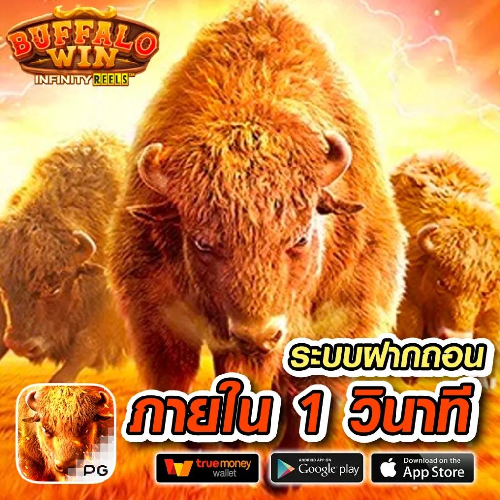 ize999 เว็บตรง สล็อต ฝากถอนออโต้ ไม่ผ่านเอเย่นต์ 2026